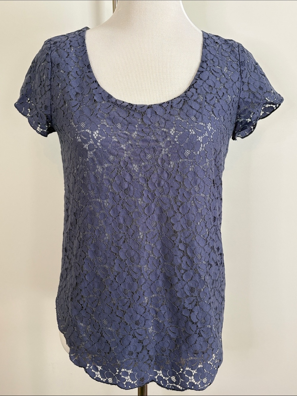 TALULAH Periwinkle Floral Lace Short Sleeve Scoop Neck Top S